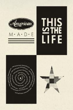 Branded American Pane by Moda