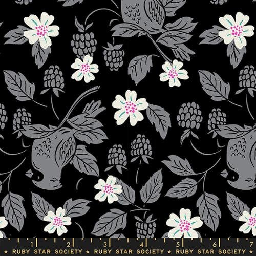 [RS2084 15] Backyard by Sarah Watts - Cardinal in Black